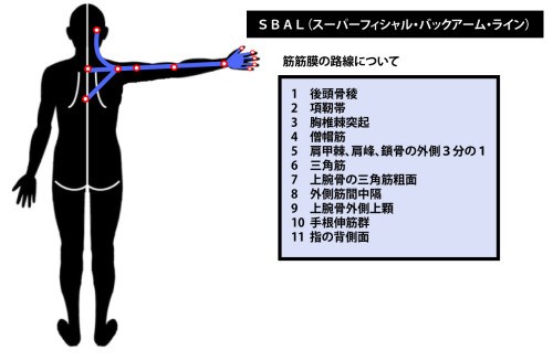 東御市,上田市,小諸市,整体,指圧,ほぐしや,マッサージ,アナトミー・トレイン